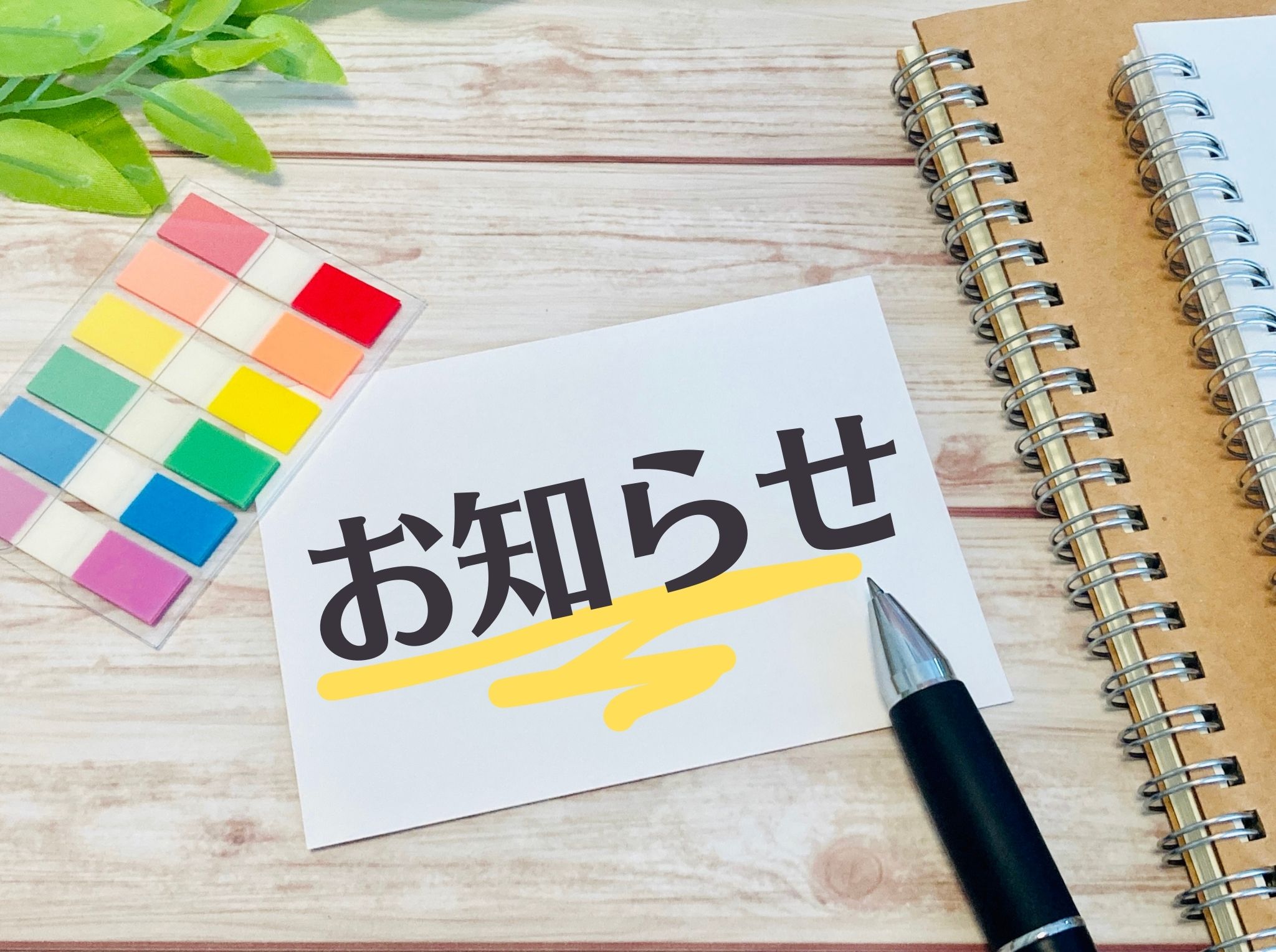 ホームページをリニューアルしました。